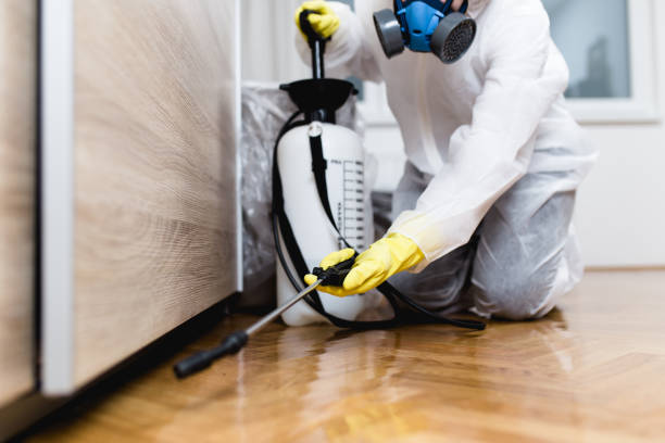Palm River Clair Mel, FL Pest Control Company