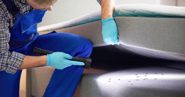Best Termite Control Services  in Palm River Clair Mel, FL